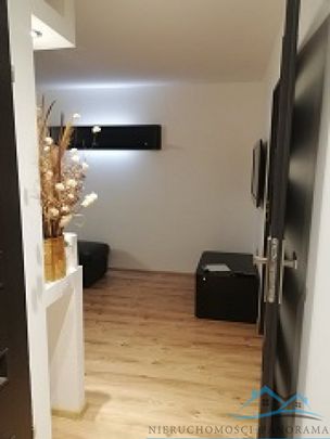 Mieszkania do wynajęcia. - Photo 1