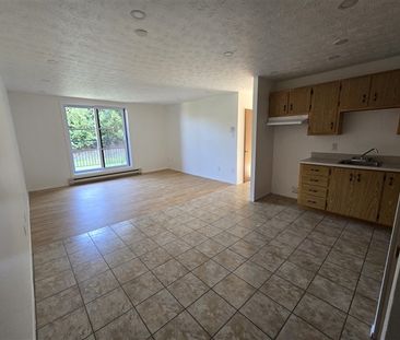 2080-310 rue Gauthier 1050$ Vacant - Photo 1