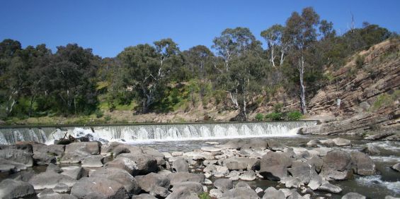 Inner-city oasis - Photo 3