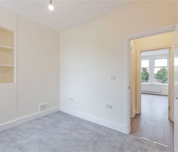 Olive Road - Photo 4