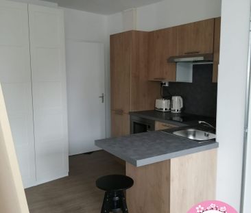 Location Appartement 1 pièce 22m² SULLY SUR LOIRE 45600 - Photo 1