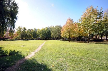 Booroondara Street, Reid ACT 2612 - 1 bed house for Rent, $465 per week - 17847984 | Domain - Photo 5