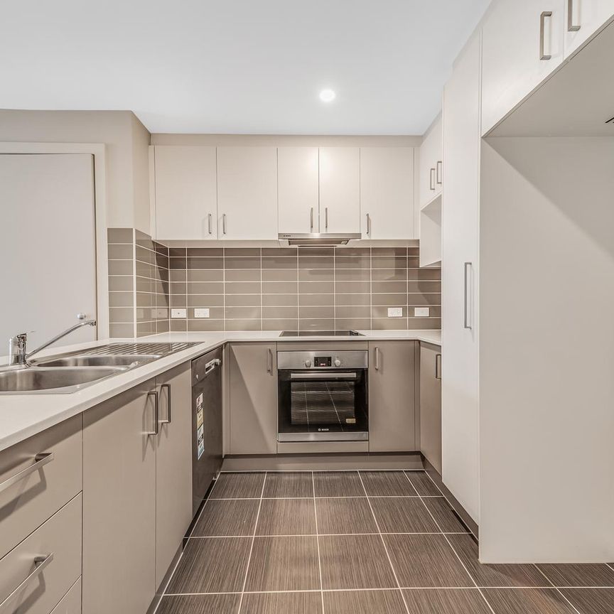 4/16 Berrigan Crescent, O'Connor ACT 2602 - Apartment For Rent | Domain - Photo 1