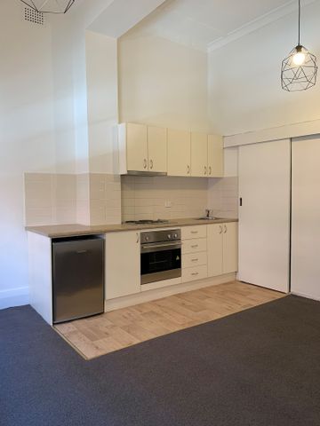 17/101 Macleay Street, Potts Point NSW 2011 - Studio For Rent | Domain - Photo 3