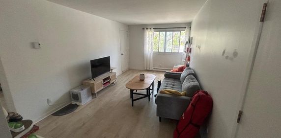 TOUT INCLU, Grand 41/2 Sainte-Foy - Photo 2
