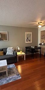 Bachelor Fully Furnished -pet friendly - Photo 3