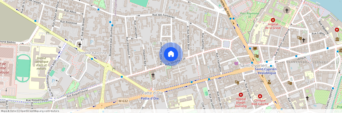 TOULOUSE - PATTE DOIE