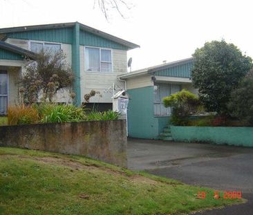 134 Rimu Street, Maeroa — - Photo 3