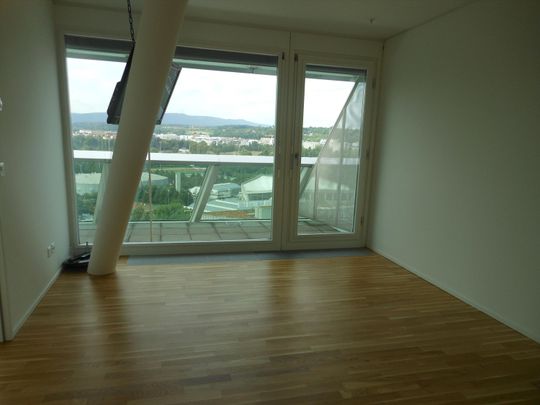 "A crystal of steel and glass" - Photo 1