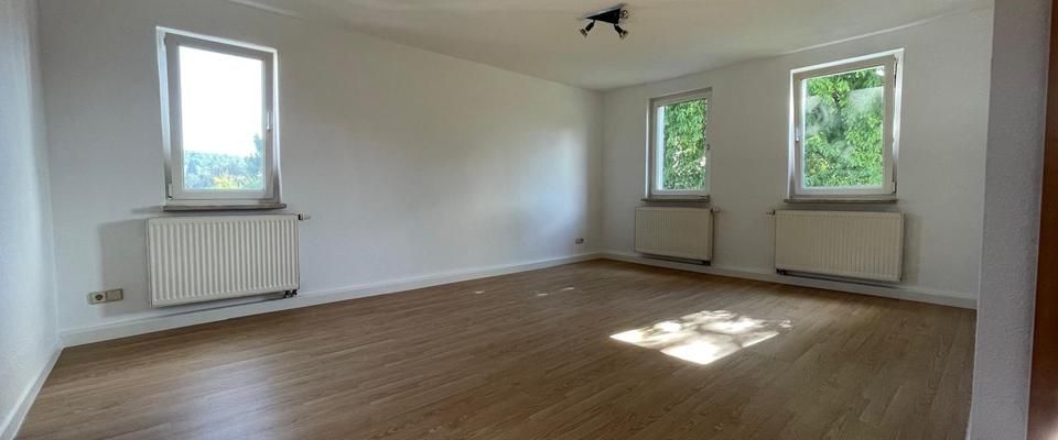 Lichtdurchflutete 2-Raum-Wohnung für 310€ kalt - Foto 1