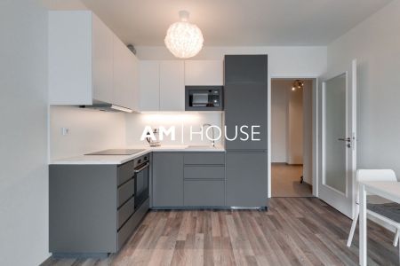 Apartment for rent, 1+KK - Studio, 38m - Photo 4