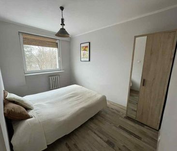 Widok Na Morze Winda Długi Termin Zwierzęta Sopot - Photo 1