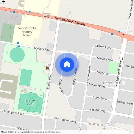 9a Caputar Way, NSW 2321, Lochinvar