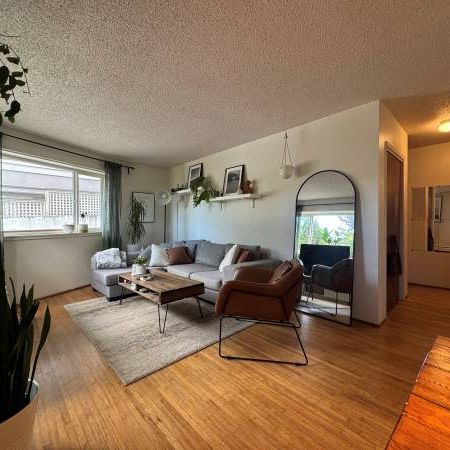 Kitsilano, 2 Bed,1 Bath, Garden Level, Hardwood Flrs - Photo 3