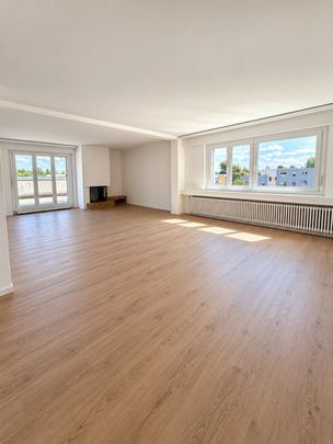 Erstvermietung - 5.5-Zimmer-Attika-Wohnung mit Terrasse - Photo 1