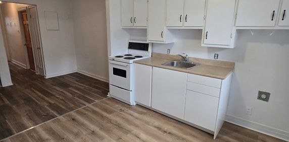 3 1/2 Mercier/Parc Bellerive - Photo 2