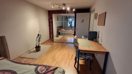 2-ROOM APARTMENT IN LUCERNE, FURNISHED, TEMPORARY - Photo 4