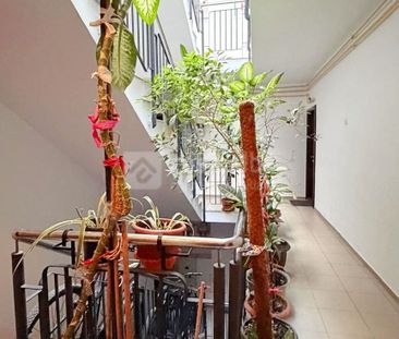 Pacurari, 2 camere impecabil in bloc nou, totul nou, BOXA - Photo 5