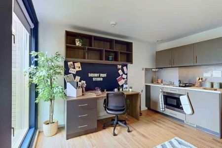 Luxury Plus Studio - Photo 3