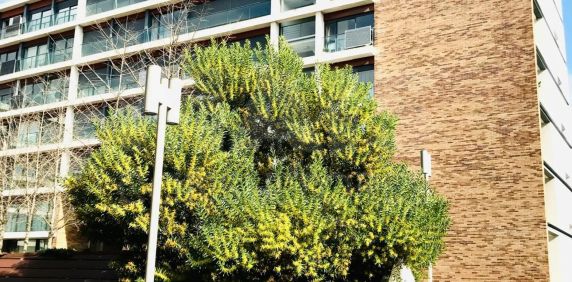 Apartamento T1 em Lisboa - Photo 2