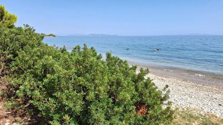 Μονοκατοικία για ενοικίαση - Μέγαρα, - Photo 5