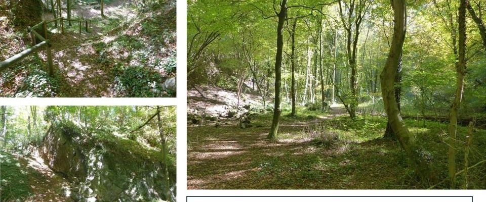 Schöne Wohnung,besonnter Balkon,Stadtrand Köln,Möbliert mit NBK - Foto 1