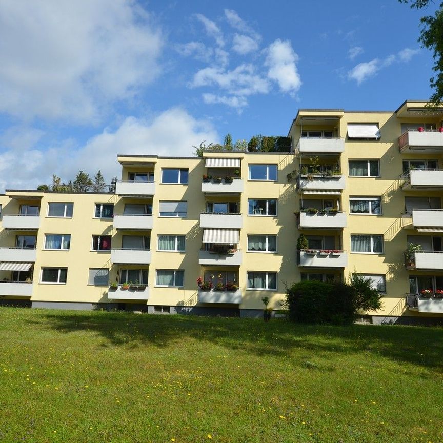 Gepflegte 1-Zimmerwohnung in Dübendorf zu vermieten - Photo 1