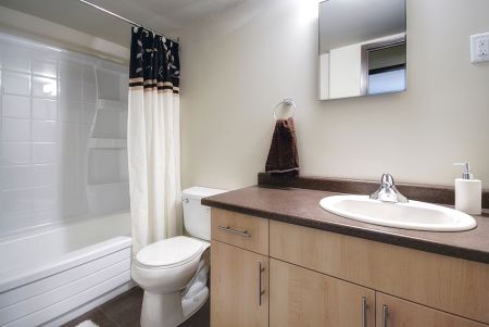 The Horizon - Photo 3