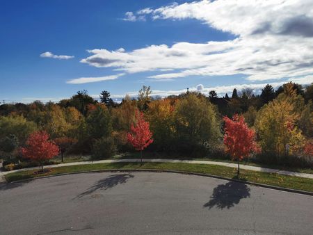 For Lease - 16 William Bartlett Drive, Markham, Ontario - Photo 5