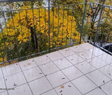 MIESZKANIE na WYNAJEM SZCZECIN (436836) - Photo 4