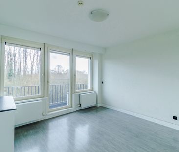 Gerenoveerde studentenkamers & studio’s - Foto 1