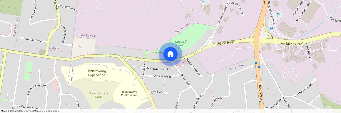 90 Flagstaff Road, Warrawong NSW 2505