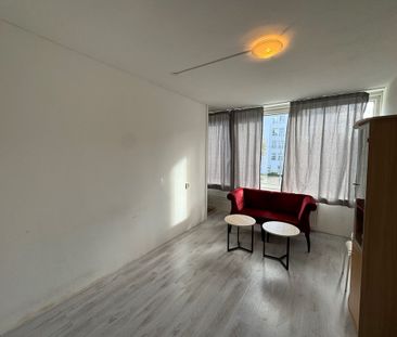 Studio Amsterdam - Nieuwe Laan - Photo 1