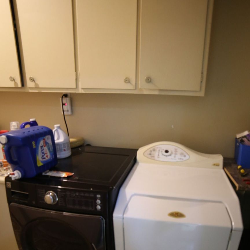 For Lease - 46 Grovetree Road Unit# Walkout Basement, Toronto, Ontario - Photo 1