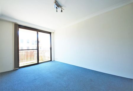 4/133 Macpherson Street, Bronte NSW 2024 - Apartment For Rent | Domain - Photo 4
