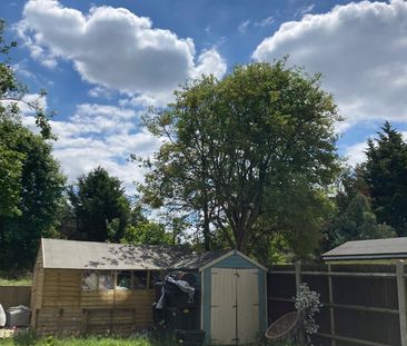 Room in a Shared Flat, Inchmery Rd, SE6 - Photo 4