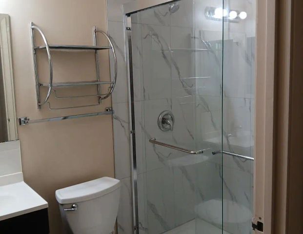 Newly renovated shower room, one Bedroom plus Den in Chinatown — 1 Bedroom+ Den Apartment - Photo 1
