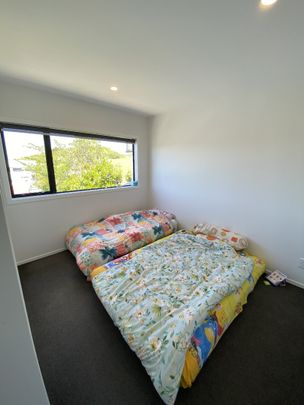 66A Clifford Road, Johnsonville - Photo 1