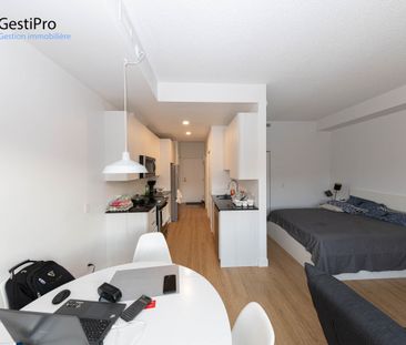 1213 av Charles-Huot – Le Charles-Huot - Photo 2