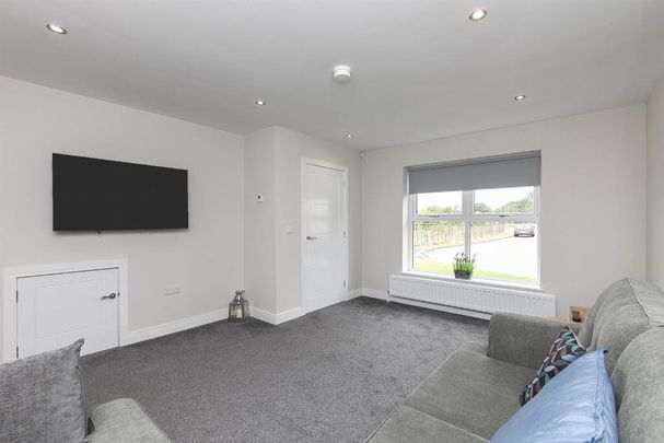 10 Belmont Hall Drive, Antrim, BT41 1FB - Photo 1