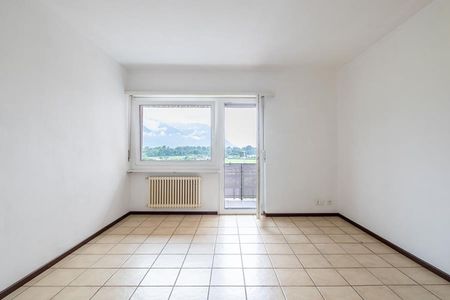 COMFORTABLE 2.5 ROOMS IN SEMENTINA - Photo 5