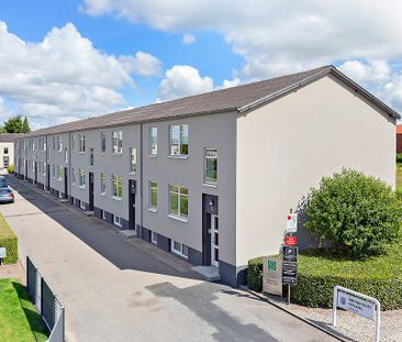 Afd. 2 Vidarsvang - Photo 4