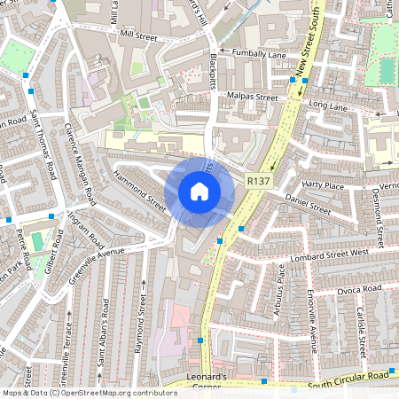 St Kevins Place, Donovan's Lane, Dublin 8, D08 X37C