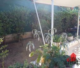 Διαμέρισμα για ενοικίαση - Οινόφυτα, - Photo 2