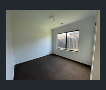 16 Festivity Street, Tarneit, Vic 3029 - Photo 4