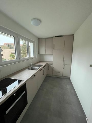Renovierte Wohnung an ruhiger Lage - Foto 5