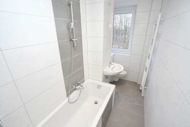 Frisch saniert / Balkon / Aufzug - Photo 1