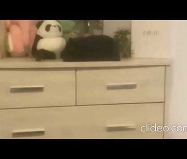 Modern 2-bedroom Apartment in Hamilton CBD - Photo 1