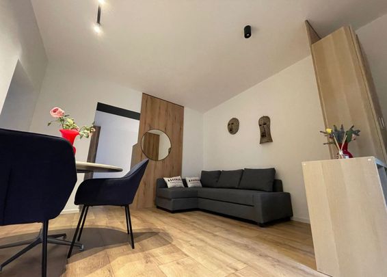 3-room apartment + courtyard at the villa, Copou, Iasi Romania - Photo 1