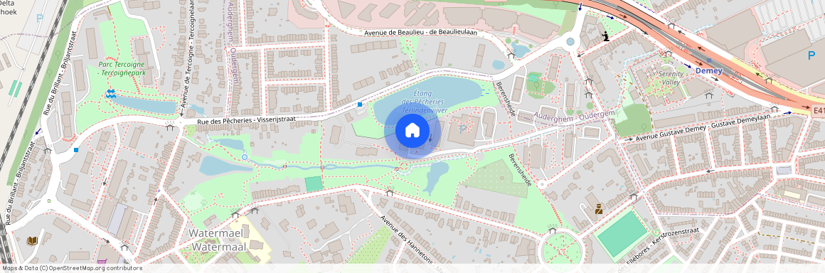 Avenue de La Héronnière 1170 Watermael-Boitsfort